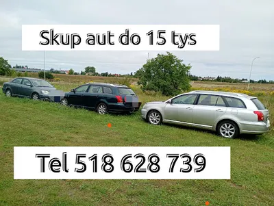 Skup aut